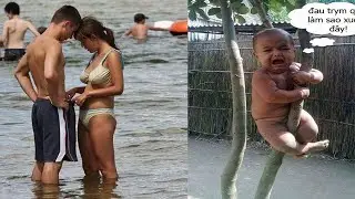 Best Funny Videos  - Try to Not Laugh 😆😂🤣#24