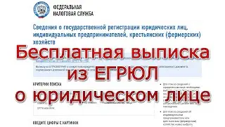 ЕГРЮЛ - как искать информацию о компаниях и юридических лицах