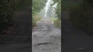 ШОК!!! КТО-ТО ЖДЁТ КОГО-ТО 🙄 КИСЕЛЕВСК 