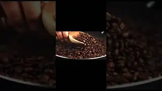Coffee Been Showreel 2023 | We are Unlimited
