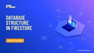Database Structure In Firestore