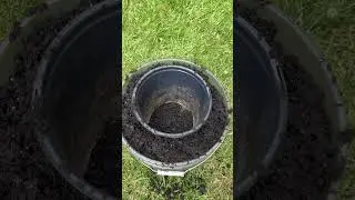 An easy way to up-pot plants. 