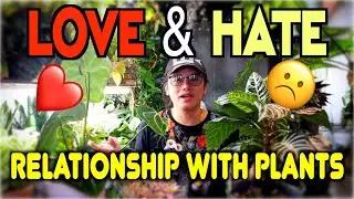 LOVE & HATE Plants Relationship[Plant Tito ng Japan]