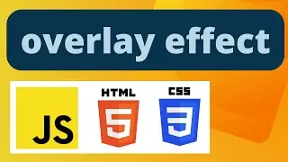 how to create an overlay effect dynamically in Vanilla Javascript