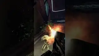 Ich war es nicht, ehrlich | Halo 