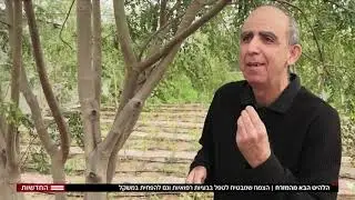 מורינגה הלהיט הבא מהמזרח: הצמח שמבטיח לשפר את הבריאות ולשמור על המשקל- גיא ורון, ערוץ 12