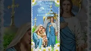7 апреля 2024 г.