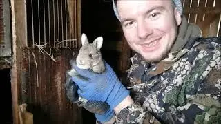 ЖИЗНЬ В ДЕРЕВНЕ/ПОПОЛНЕНИЕ ХОЗЯЙСТВА