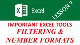 MS EXCEL || LESSON 7 || FILTERING AND NUMBER FORMATS