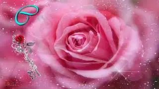С Днем ангела Нины!
