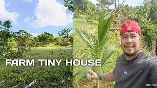 How We made Tiny Tree House in our integrated Farm