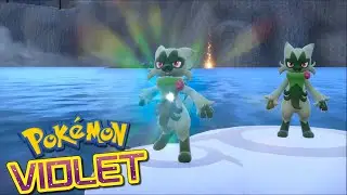 Pokémon Violet : Nigirigon, le dominant Fourbe-Dragon ! | Let's Play Ep.11