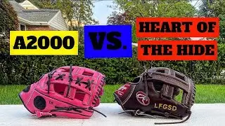 Heart of the Hide VS. A2000 (Not What You Think)