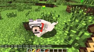 Мод Doggy Talents Mod 1 5 2