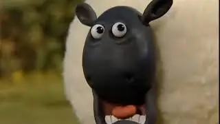 screaming sheep video