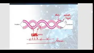 CS601 Topic || 101 to 113 || final term preparation || imp quiz + short ||