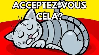 Pourquoi votre Chat dort avec vous ?