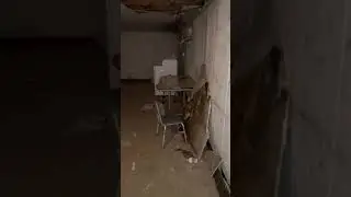Busted Pipes Collapses Ceiling 10/3/21