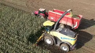 New Holland FR780 + 12 rangs + Case IH