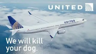 INFINITE FLIGHT GLOBAL: NEW YORK (JFK) TO DALLAS (DFW) | UNITED | BOEING B737 | TIMELAPSE
