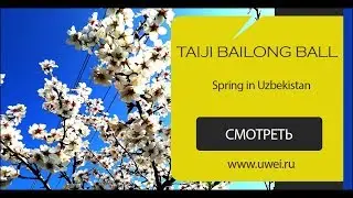 Taiji Bailong Ball Spring
