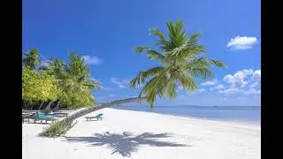 💫Delicate beautiful melody💫 DJ AURM Island of Love - SHKIDMusic #14