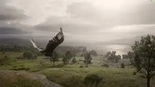 Fly with a Eagle in Lemoyne - RDR2
