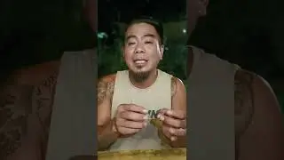 REACTION: Dalawang Aso Inatake ng Golden Retriever