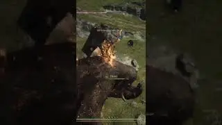 Dragon's Dogma 2 Legolas Simulator