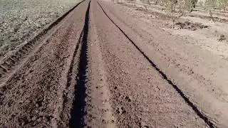 ЮМЗ 6. Чеснок. Подготовка земли  для посадки и  выкопки плоскорезом
