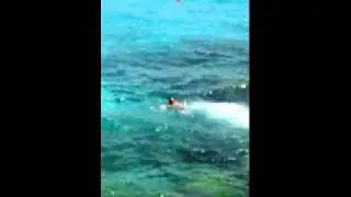 Ivan's dive @ Nissi beach, Ayia Napa