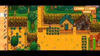 что нужно делать одним из первых в stardew valley.