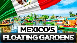 Mexico's GENIUS Farming Technique