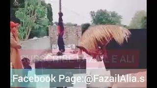 Zuljinah Bosa e Ghazi Abbas A.s Alam Pak