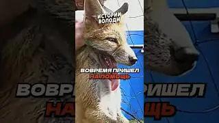 Душераздирающее ЗРЕЛИЩЕ 😞
