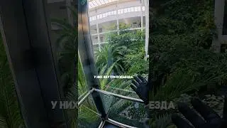 Let's go to the jungle