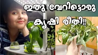 AeroGarden Hydroponics in Malayalam | Indoor Krishi കൃഷി | Electrical Farming