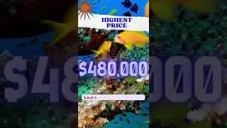 HOMES THAT SOLD