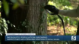 Rise in pest control calls amid concerns over rare mosquito-borne virus
