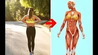 1 Ay Boyunca Her Gün Yarım Saat Koşsanız Vücudunuzda Neler Olur