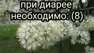 При диарее необходимо:8 Как лечить диарею (понос) Лекарственные травы и растения. Народная медицина.