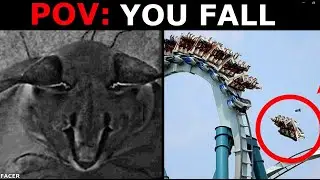 Floppa Becoming Sad  (POV: YOU FALL)
