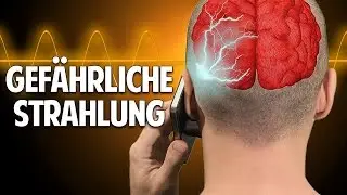 Handy & WLAN - wie krank machen sie uns wirklich? - Prof. Dr. Dr. med. Enrico Edinger