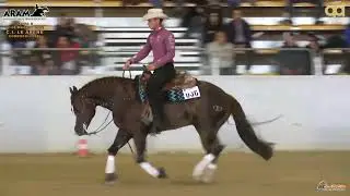 3 show ARAM 2022 - SICURO NICO & COLONELS DANCING GUN score 75