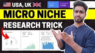 Micro Niche Research Strategy 2023: Micro Niche Blogging 2023