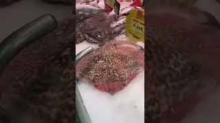 FRESH FISH MARKET PORTUGAL РЫБНЫЙ МАГАЗИН МОРСКОЙ ЧЁРТ #shorts #fish #fishing #рыбалка #рыба #shop