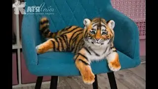 Рыжий тигренок
