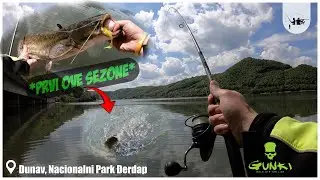 PECANJE SOMA - Prolećno varaličarenje u Đerdapu 2024