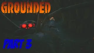 OUR FIRST WOLF SPIDERS | Grounded PART 3