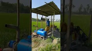 How to run free energy Generator 